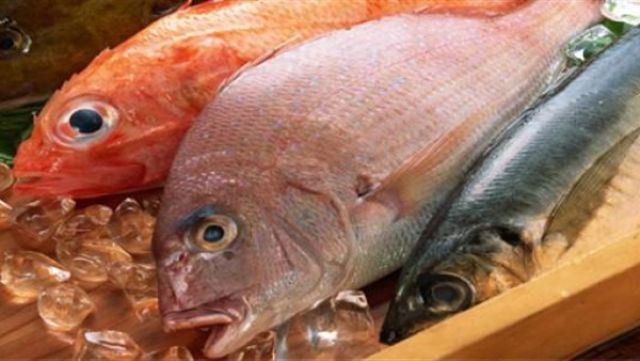 حقيقة خطورة تناول السمك والبيض عند الإصابة بالبرد