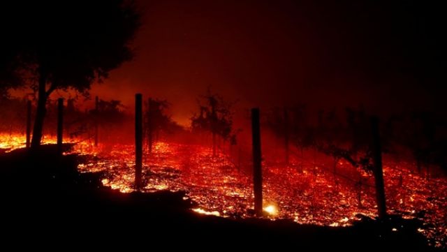 كارثة كالفيورنيا.. 59 قتيلا و130 مفقودا حصيلة ضحايا حرائق الغابات