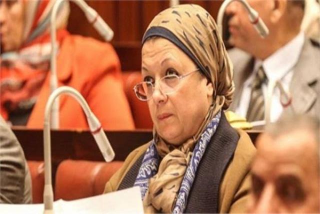 الدكتورة ماجدة نصر، عضو لجنة التعليم بالبرلمان