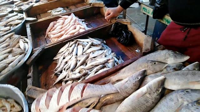 أسعار الأسماك اليوم الخميس 26 ديسمير