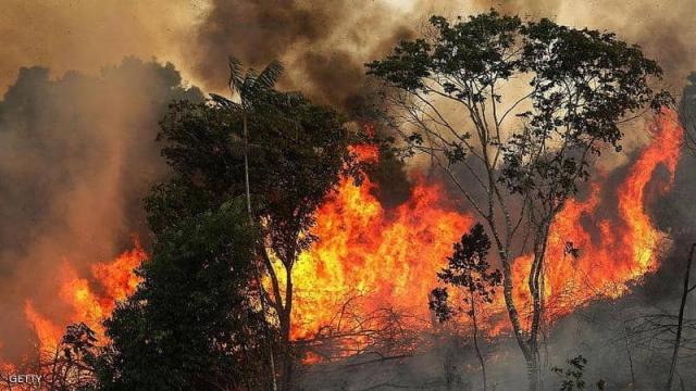 أستراليا : مئات الآلاف يوقعون عريضة لإلغاء الألعاب النارية بسبب حرائق الغابات