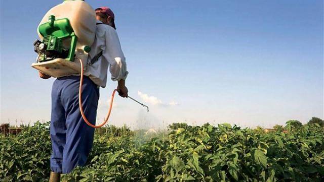 الزراعة: صادرات مصر ارتفعت لـ4 ملايين طن رغم كورونا.. والموالح في المركز الأول