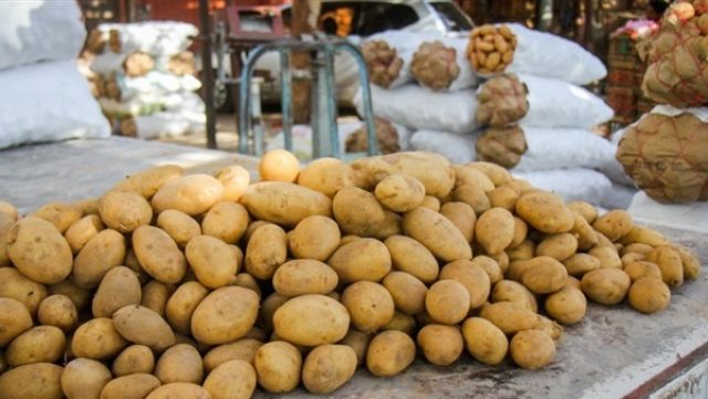 الزراعة: 759 ألف طن إجمالي صادرات مصر من البطاطس