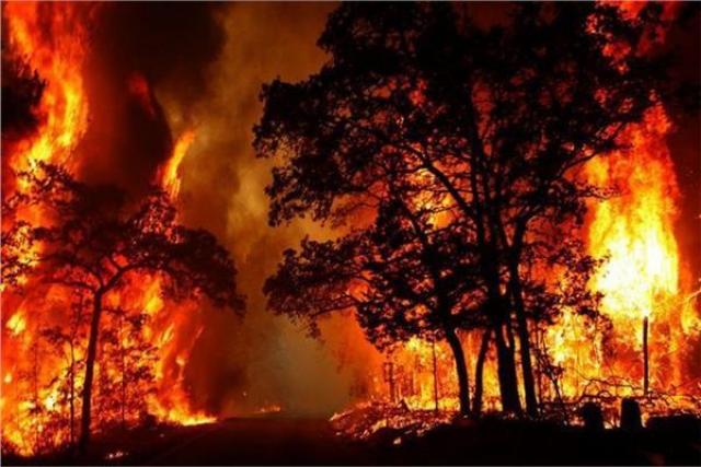 استراليا: ارتفاع حصيلة ضحايا حرائق الغابات إلى 15 شخصا