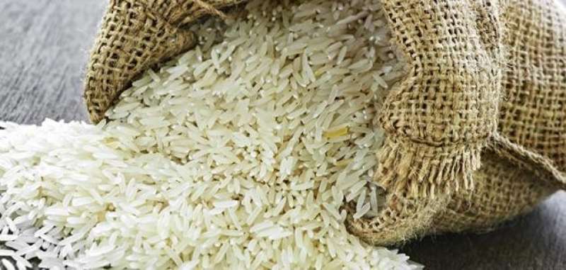 الحكومة تكشف حقيقة حظر زراعة الأرز بشكل نهائي