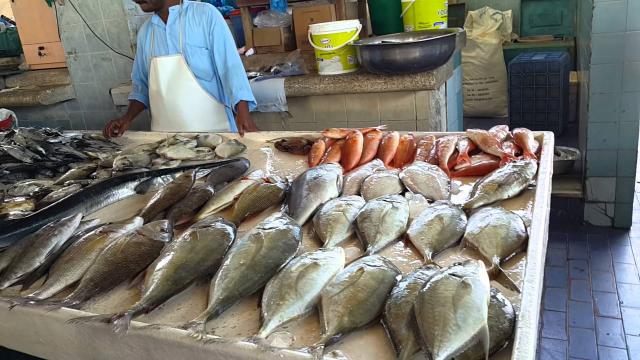 أسعار الأسماك اليوم الأحد 5 يناير