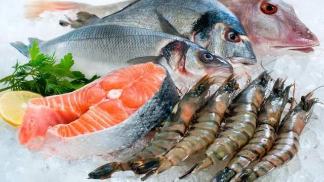 أسعار الأسماك اليوم الثلاثاء 4 فبراير 2020