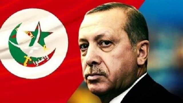 بتمويل قطري.. أردوغان يروج لأفكار القرضاوي المتطرفة في أمريكا