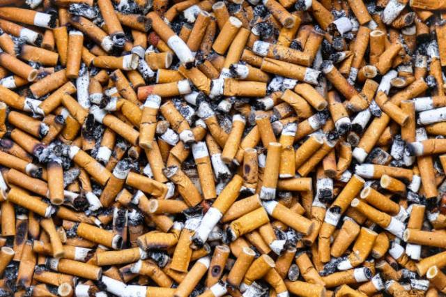 خبراء: مصر مُصدرة للتبغ.. والمصريون يستهلكون 83 مليار سيجارة سنويًا