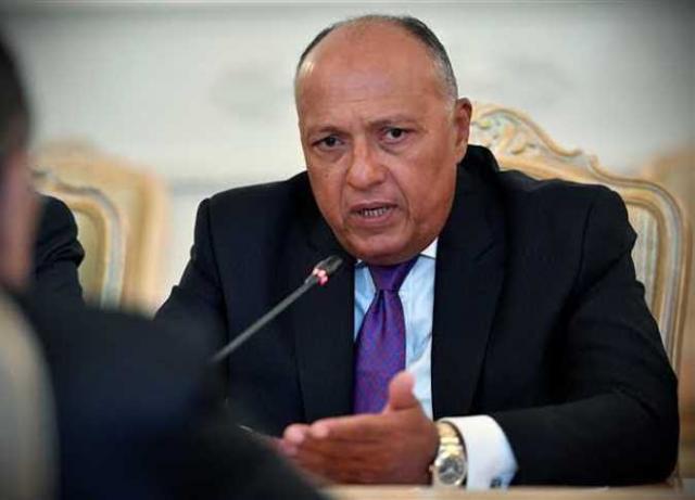 وزير الخارجية ونظيره النمساوى يبحثان عملية السلام والأزمة الليبية