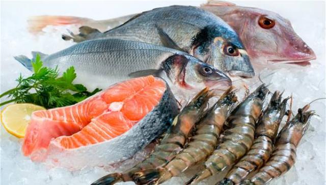أسعار الأسماك اليوم الثلاثاء 25 فبراير 2020