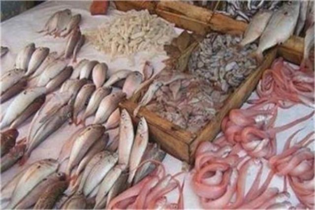 ارتفاع أسعار الأسماك اليوم الأحد 8 مارس بسوق العبور.. والبلطي بـ26 جنيها ارتفاع أسعار الأسماك اليوم الأحد 8 مارس بسوق العبور.. والبلطي بـ26 جنيها