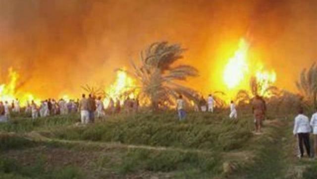 حريق فى مزرعة