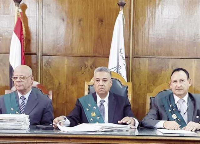 المستشار عادل بريك نائب رئيس مجلس الدولة