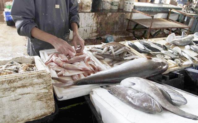 أسعار الأسماك اليوم الإثنين 23 مارس 2020