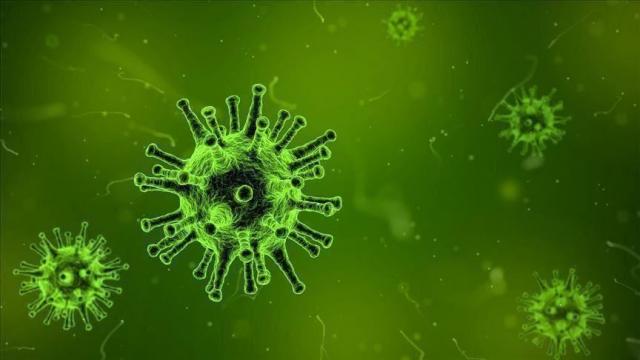 تأثير المناخ على انتشار فيروس كورونا