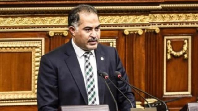 سليمان وهدان وكيل البرلمان