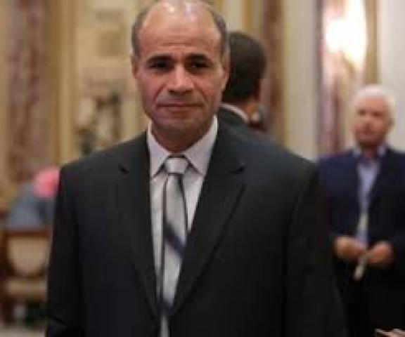 النائب بدير عبد العزيز