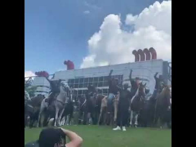 تظاهرات بالخيول
