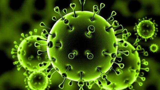 عاجل| فرنسا تعلن السيطرة على وباء فيروس كورونا المستجد