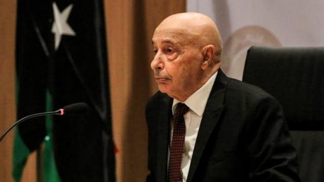 عاجل| في مؤتمر صحفي مع السيسي.. عقيلة صالح يكشف بنود الوثيقة الدستورية للحكم في ليبيا