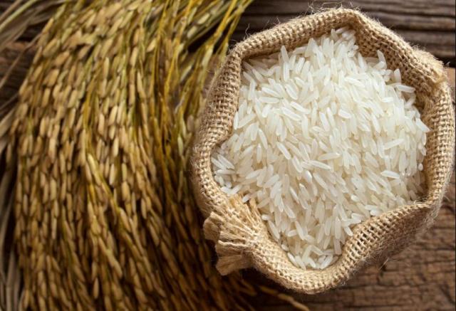 نكشف حجم الفائض من الأرز والأسعار المتوقعة الفترة المقبلة