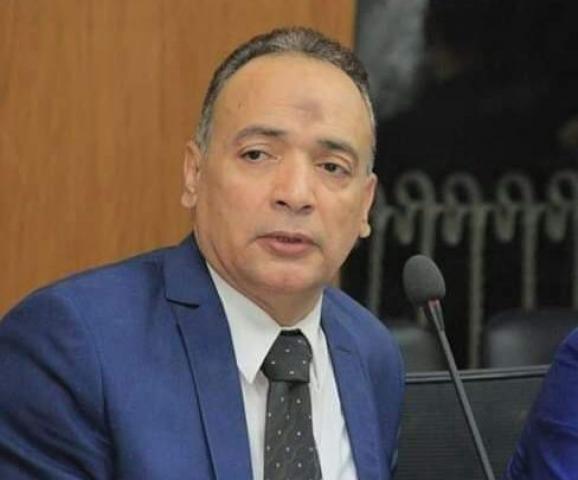 طارق درويش: مصر قادرة على حماية الأمن القومي.. والسيسي صاحب رؤية ثاقبة