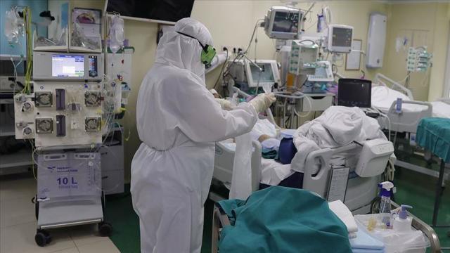 فيروس كورونا