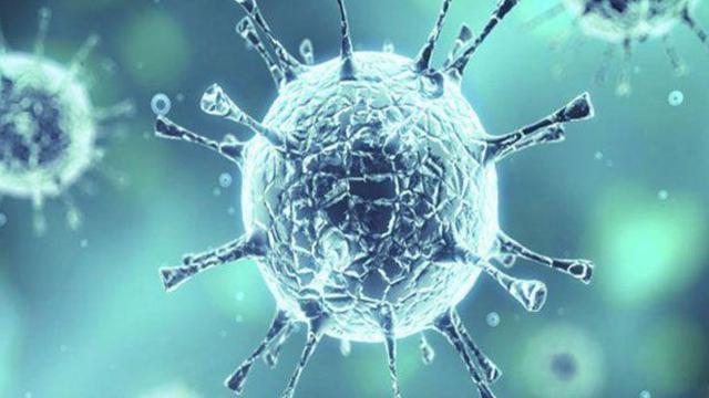 عاجل| رئيس اللجنة العلمية لمواجهة كورونا يعلن موعد انحسار الفيروس في مصر