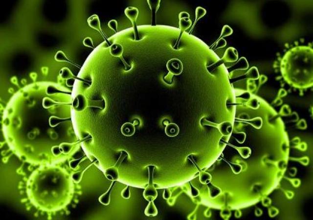 وزارة الصحة: نسب الوفيات بفيروس كورونا تصل 4.9%