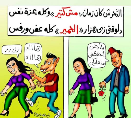 التحرش زمان ودلوقتي.. عض الحمير ورفسهم (كاريكاتير)