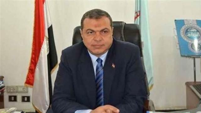 محمد سعفان وزير القوى العاملة