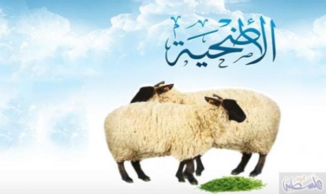الأضحية، أرشيفية