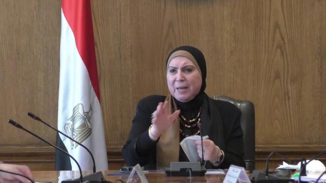 نيفين جامع وزيرة التجارة والصناعة