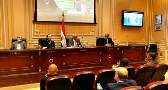 وزير التجارة: نعمل على توطين صناعة السيارات الكهربائية فى مصر