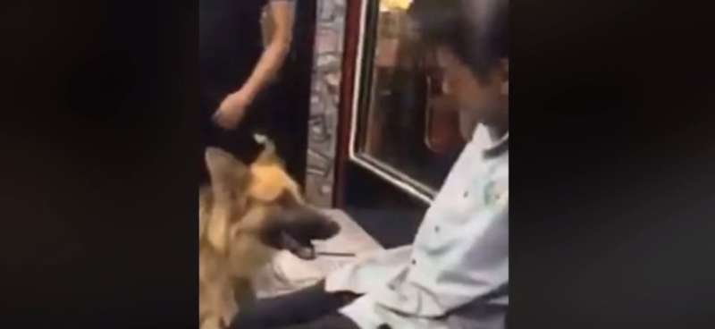 عضه من منطقة حساسة.. فيديو تعذيب شاب معاق بواسطة كلب يشعل السوشيال ميديا