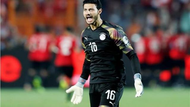 محمد الشناوي
