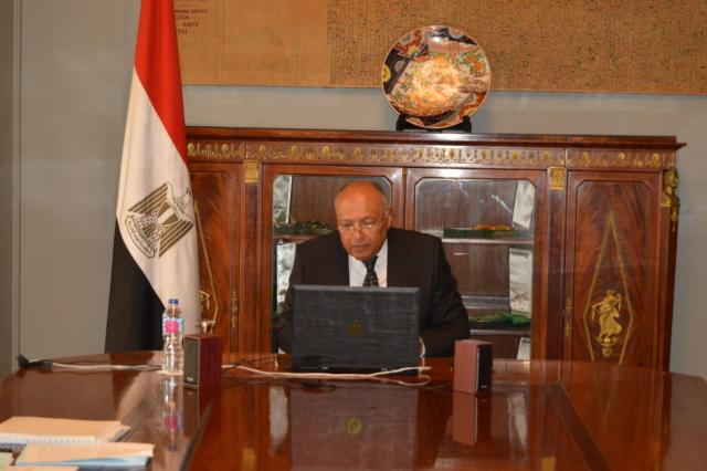 وزير الخارجية سامح شكري