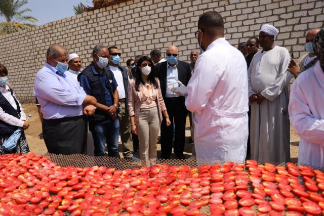بـ586 مليون دولار.. التعاون الدولي تعرض أبرز عوائد مشروع تجفيف الطماطم بالأقصر