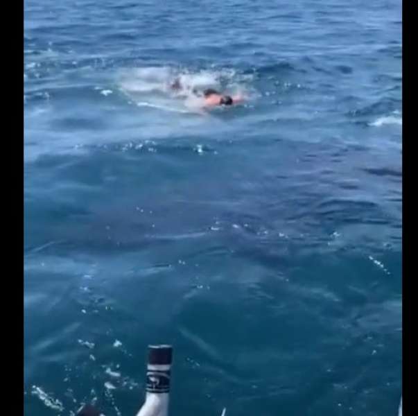 رجل يقفزمن قارب للسباحة مع سمكة قرش