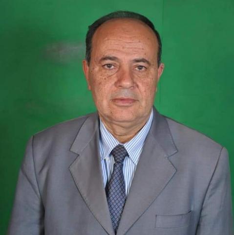 د. عبدالفتاح محمود عامر،