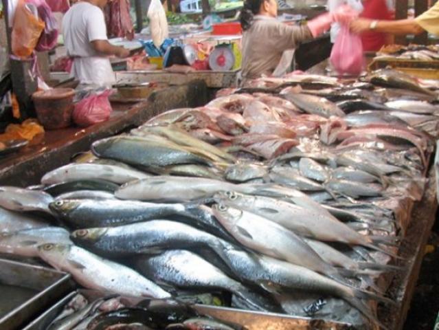 تعرف على أسعار الأسماك اليوم الإثنين 5 أكتوبر 2020