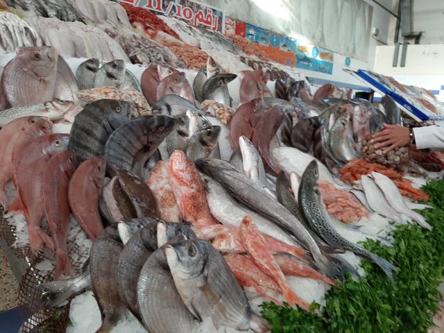 أسعار الأسماك اليوم الأربعاء 14 أكتوبر 2020