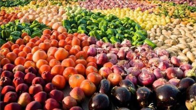 الزراعة: ارتفاع صادرات مصر الزراعية إلى أكثر من 4.5 مليون طن في 10 أشهر