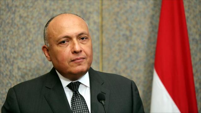 سامح شكري وزير الخارجية