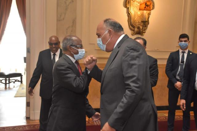 لقاء سامح شكري ووزير خارجية إريتريا