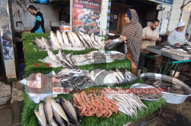 السمك بسوق العبور اليوم
