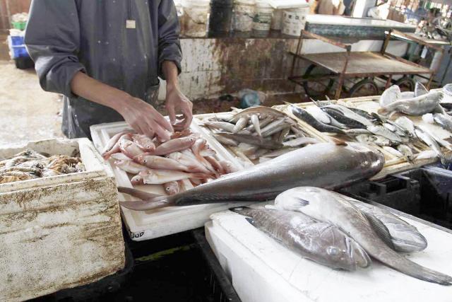 تعرف على أسعار الأسماك في مصر اليوم الأحد 7 مارس 2021