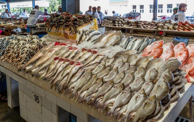 أسعار الأسماك اليوم السبت 12 ديسمبر 2020