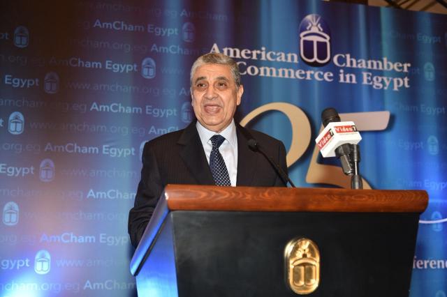 الدكتور محمد شاكر وزير الكهرباء،